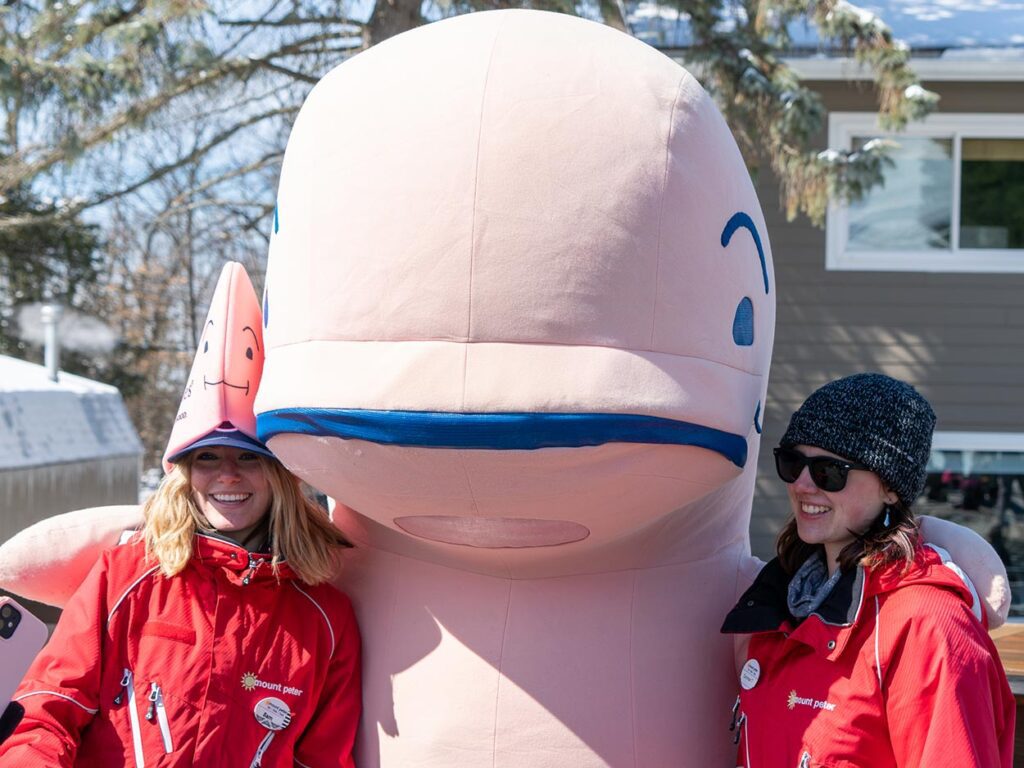 Ski School Whale